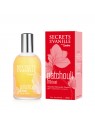 Secrets de Vanille Patchouli EDP 100ml orientalna woda perfumowana dla kobiet wanilia, paczula, tonka, cytrusy