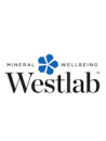 Westlab